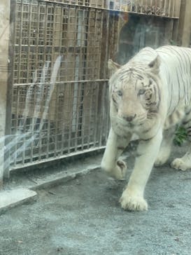 東武動物公園に投稿された画像（2021/10/9）
