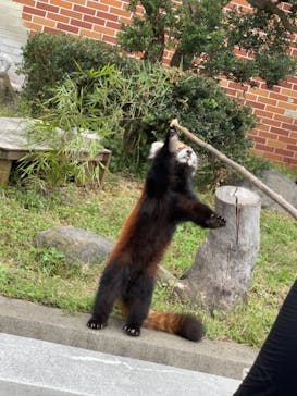 東武動物公園に投稿された画像（2021/10/9）