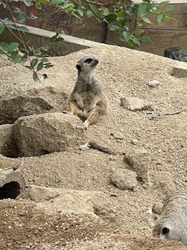 東武動物公園に投稿された画像（2021/10/9）