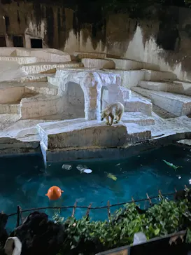 天王寺動物園に投稿された画像（2021/10/9）