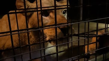 那須サファリパークに投稿された画像（2021/10/9）