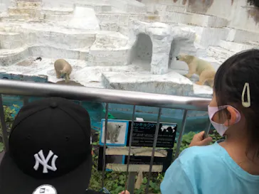 天王寺動物園に投稿された画像（2021/10/9）