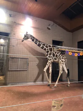 天王寺動物園に投稿された画像（2021/10/9）