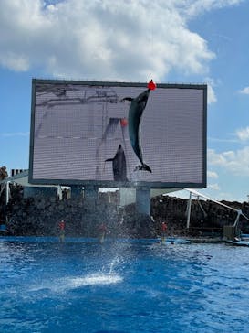 名古屋港水族館に投稿された画像（2021/10/9）