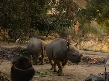 天王寺動物園に投稿された画像（2021/10/9）