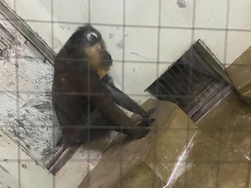 天王寺動物園に投稿された画像（2021/10/9）