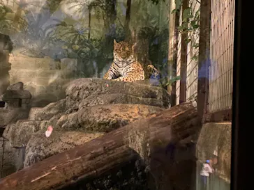 天王寺動物園に投稿された画像（2021/10/9）