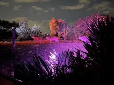 天王寺動物園に投稿された画像（2021/10/9）