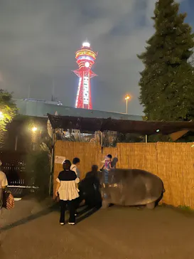 天王寺動物園に投稿された画像（2021/10/9）