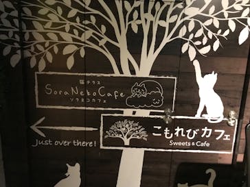 カワスイ 川崎⽔族館に投稿された画像（2021/10/9）