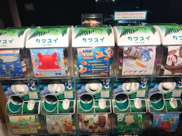 カワスイ 川崎⽔族館に投稿された画像（2021/10/9）