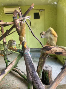 ひらかたパークに投稿された画像（2021/10/9）