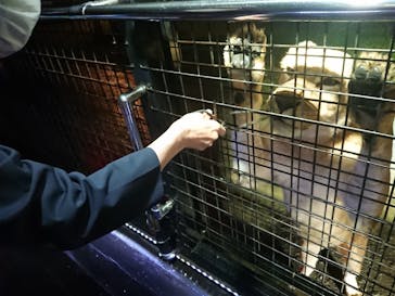 那須サファリパークに投稿された画像（2021/10/9）