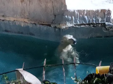 天王寺動物園に投稿された画像（2021/10/9）