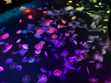 すみだ水族館に投稿された画像（2021/10/9）