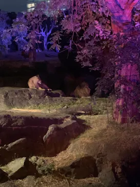 天王寺動物園に投稿された画像（2021/10/9）