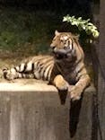 天王寺動物園に投稿された画像（2021/10/10）