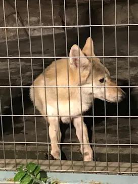 天王寺動物園に投稿された画像（2021/10/9）