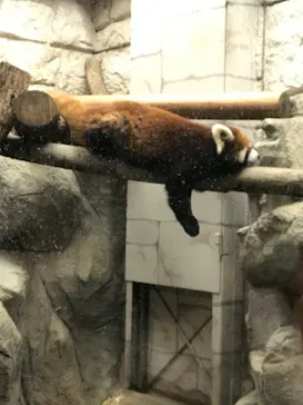 天王寺動物園に投稿された画像（2021/10/9）