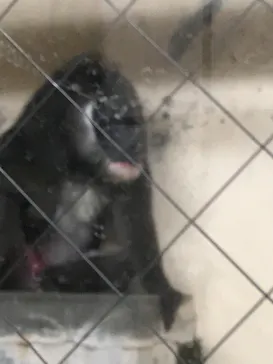 天王寺動物園に投稿された画像（2021/10/9）