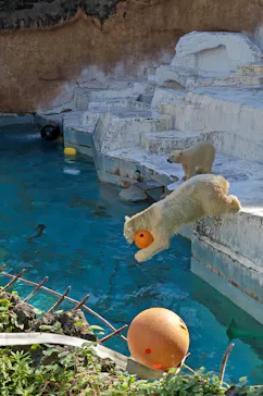 天王寺動物園に投稿された画像（2021/10/9）