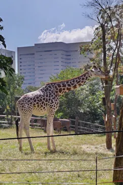 天王寺動物園に投稿された画像（2021/10/9）
