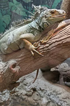 天王寺動物園に投稿された画像（2021/10/9）