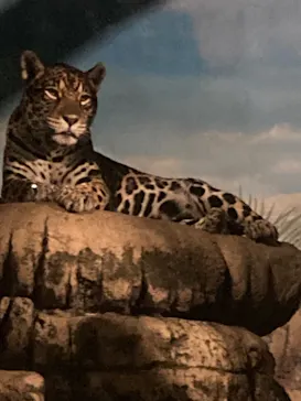 天王寺動物園に投稿された画像（2021/10/10）