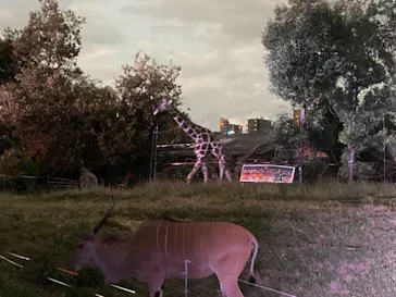 天王寺動物園に投稿された画像（2021/10/10）