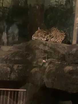 天王寺動物園に投稿された画像（2021/10/10）