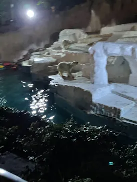 天王寺動物園に投稿された画像（2021/10/10）