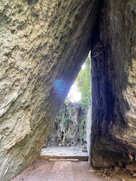 武藤潜水に投稿された画像（2021/10/10）