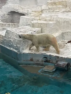 天王寺動物園に投稿された画像（2021/10/10）