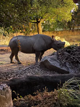天王寺動物園に投稿された画像（2021/10/10）
