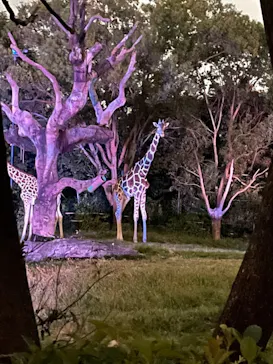 天王寺動物園に投稿された画像（2021/10/10）