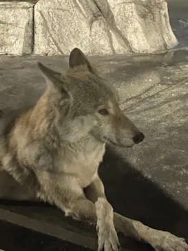 天王寺動物園に投稿された画像（2021/10/10）