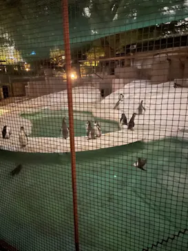 天王寺動物園に投稿された画像（2021/10/10）