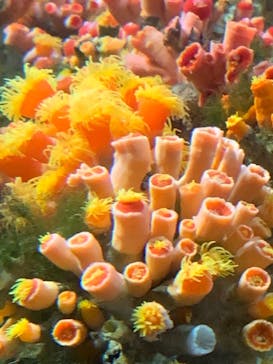 新江ノ島水族館に投稿された画像（2021/10/10）