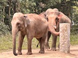 よこはま動物園ズーラシアに投稿された画像（2021/10/10）
