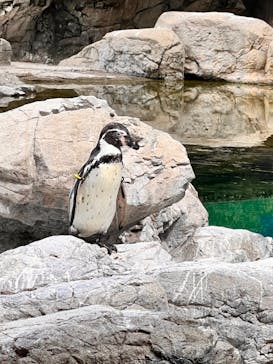 よこはま動物園ズーラシアに投稿された画像（2021/10/10）