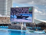 名古屋港水族館に投稿された画像（2021/10/10）