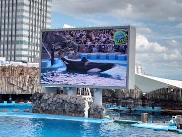名古屋港水族館に投稿された画像（2021/10/10）
