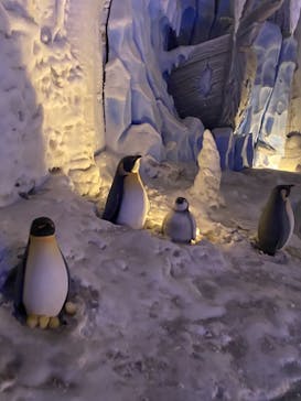 城島高原パークに投稿された画像（2021/10/10）