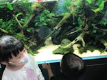 すみだ水族館に投稿された画像（2021/10/10）