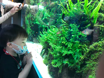 すみだ水族館に投稿された画像（2021/10/10）