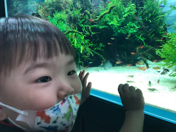 すみだ水族館に投稿された画像（2021/10/10）