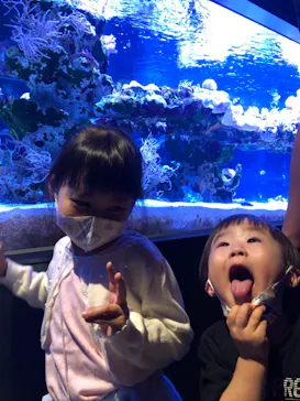 すみだ水族館に投稿された画像（2021/10/10）