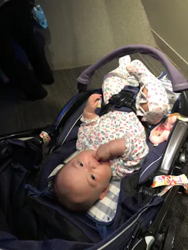 すみだ水族館に投稿された画像（2021/10/10）