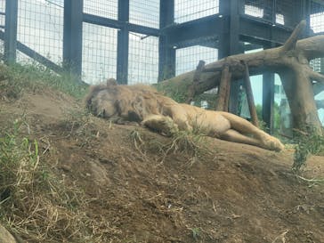 沖縄こどもの国に投稿された画像（2021/10/10）