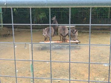 沖縄こどもの国に投稿された画像（2021/10/10）